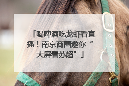 喝啤酒吃龙虾看直播！南京商圈邀你“大屏看苏超”