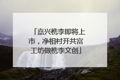 嘉兴槜李即将上市，净相村开共富工坊做槜李文创