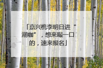 嘉兴槜李明日进“潮咖”，想来嘬一口的，速来报名