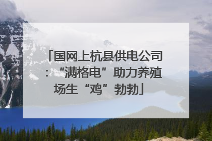 国网上杭县供电公司：“满格电”助力养殖场生“鸡”勃勃