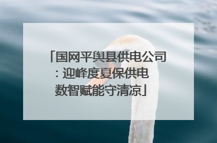国网平舆县供电公司：迎峰度夏保供电  数智赋能守清凉