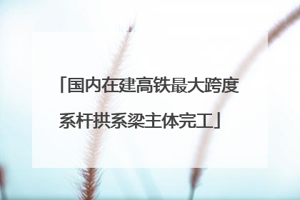 国内在建高铁最大跨度系杆拱系梁主体完工