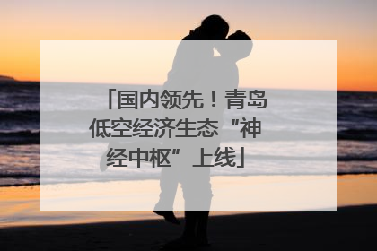 国内领先！青岛低空经济生态“神经中枢”上线