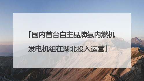 国内首台自主品牌氢内燃机发电机组在湖北投入运营