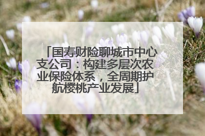 国寿财险聊城市中心支公司：构建多层次农业保险体系，全周期护航樱桃产业发展