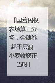 国营民权农场第三分场：金穗卷起千层浪 小麦收获正当时
