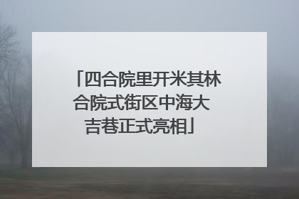 四合院里开米其林 合院式街区中海大吉巷正式亮相