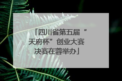四川省第五届“天府杯”创业大赛决赛在蓉举办