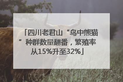 四川老君山“鸟中熊猫”种群数量翻番，繁殖率从15%升至32%