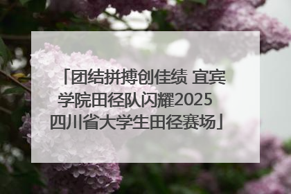 团结拼搏创佳绩 宜宾学院田径队闪耀2025四川省大学生田径赛场