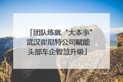 团队练就“大本事” 武汉霍尼特公司赋能头部车企智慧升级