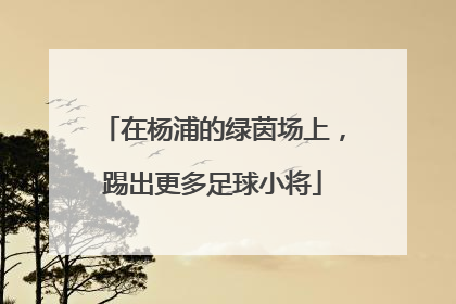 在杨浦的绿茵场上，踢出更多足球小将