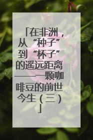 在非洲，从“种子”到“杯子”的遥远距离——一颗咖啡豆的前世今生（三）