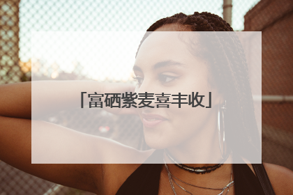 富硒紫麦喜丰收