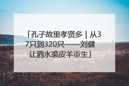 孔子故里孝贤多｜从37只到320只——刘健让泗水裘皮羊重生