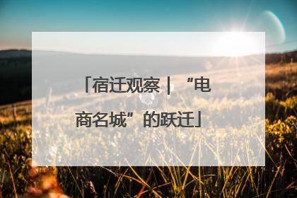 宿迁观察｜“电商名城”的跃迁