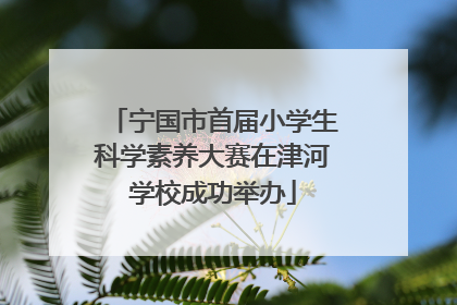 宁国市首届小学生科学素养大赛在津河学校成功举办