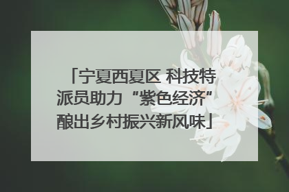宁夏西夏区 科技特派员助力“紫色经济”酿出乡村振兴新风味