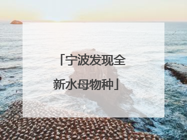 宁波发现全新水母物种