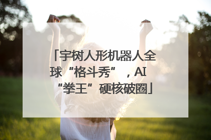 宇树人形机器人全球“格斗秀”，AI“拳王”硬核破圈