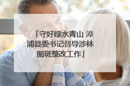 守好绿水青山 漳浦县委书记督导涉林图斑整改工作