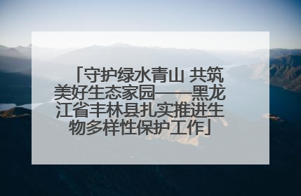 守护绿水青山 共筑美好生态家园——黑龙江省丰林县扎实推进生物多样性保护工作