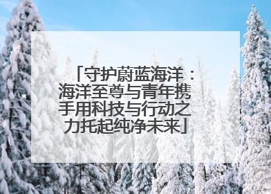 守护蔚蓝海洋：海洋至尊与青年携手用科技与行动之力托起纯净未来