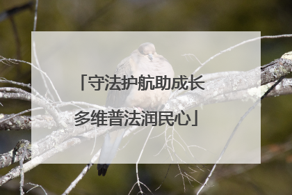 守法护航助成长 多维普法润民心