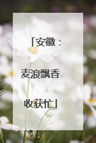 安徽：麦浪飘香收获忙