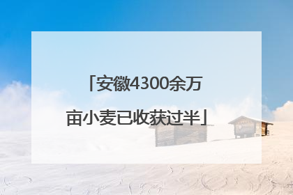 安徽4300余万亩小麦已收获过半