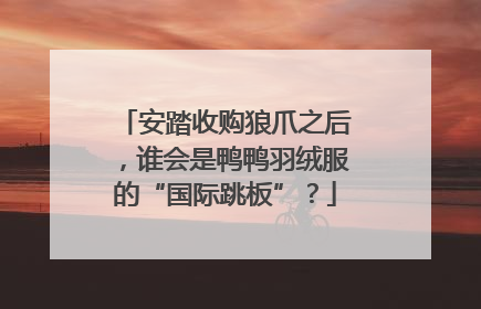 安踏收购狼爪之后，谁会是鸭鸭羽绒服的“国际跳板”？