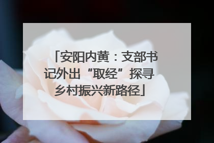安阳内黄：支部书记外出“取经”探寻乡村振兴新路径