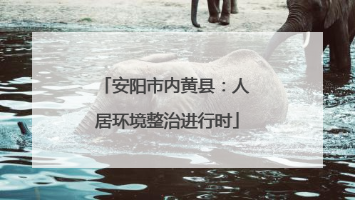 安阳市内黄县：人居环境整治进行时
