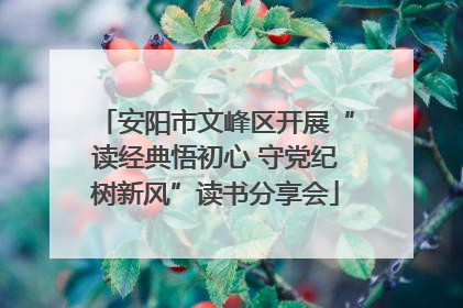 安阳市文峰区开展“读经典悟初心 守党纪树新风”读书分享会