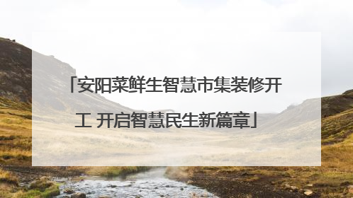安阳菜鲜生智慧市集装修开工 开启智慧民生新篇章