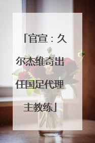 官宣：久尔杰维奇出任国足代理主教练