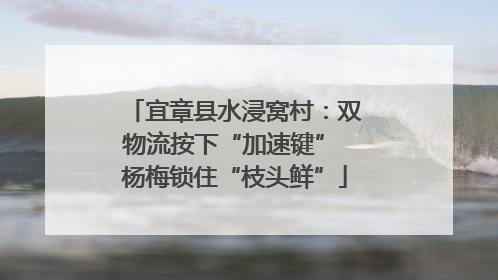 宜章县水浸窝村：双物流按下“加速键” 杨梅锁住“枝头鲜”
