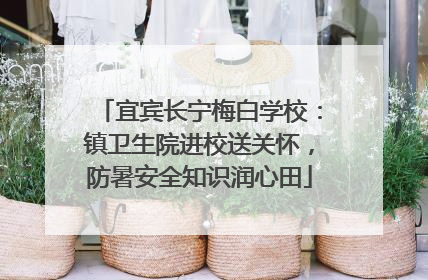 宜宾长宁梅白学校：镇卫生院进校送关怀，防暑安全知识润心田