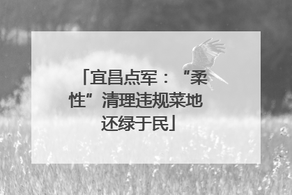 宜昌点军：“柔性”清理违规菜地 还绿于民