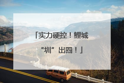 实力硬控！鲤城“圳”出圈！