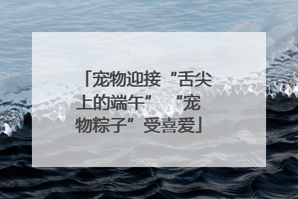 宠物迎接“舌尖上的端午” “宠物粽子”受喜爱