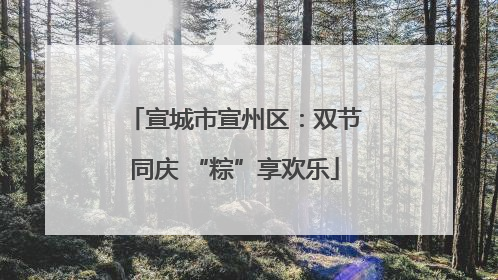 宣城市宣州区：双节同庆 “粽”享欢乐