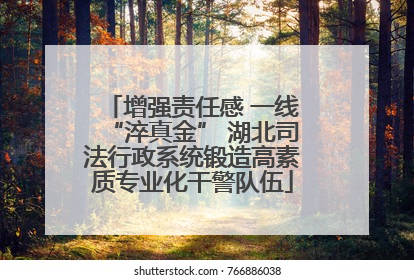 增强责任感 一线“淬真金” 湖北司法行政系统锻造高素质专业化干警队伍
