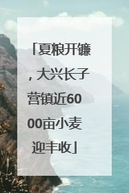 夏粮开镰，大兴长子营镇近6000亩小麦迎丰收