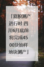 夏粮测产进行时 四川6月底前将完成4500块抽样地块测产