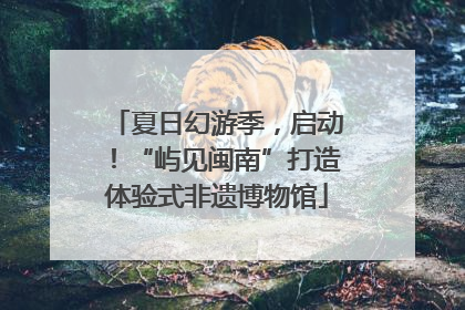 夏日幻游季，启动！“屿见闽南”打造体验式非遗博物馆