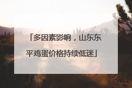 多因素影响，山东东平鸡蛋价格持续低迷