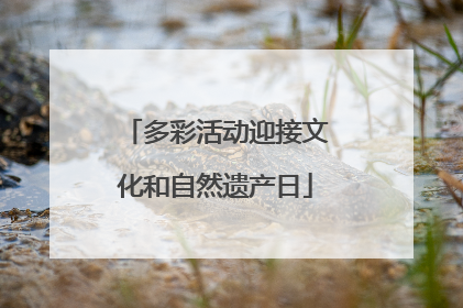 多彩活动迎接文化和自然遗产日
