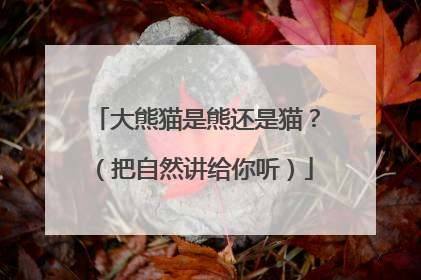 大熊猫是熊还是猫？（把自然讲给你听）