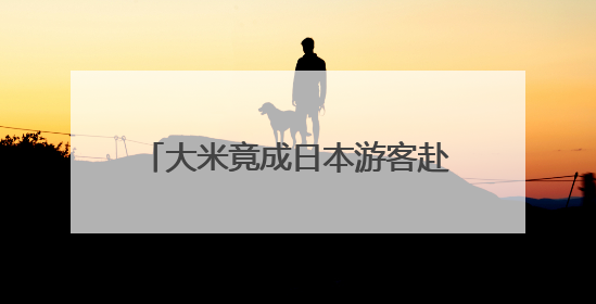 大米竟成日本游客赴韩旅游“纪念品”